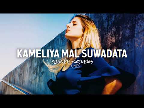 Kameliya Mal Suwadata (Slowed + Reverb) | කැමීලියා මල් සුවඳට | Cinderella | Kithsiri Jayasekara