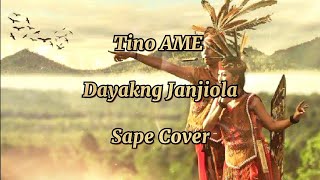 Download lagu Tino Ame - Dayakng Janjiola (Sape Cover) mp3