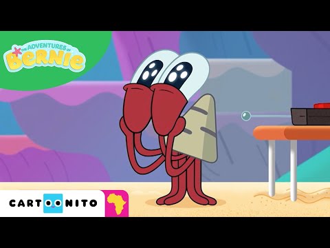 The Adventures of Bernie | Make a Trade? | Cartoonito Africa