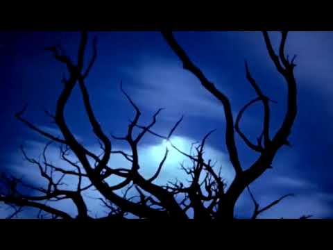 CILESITE E BESIMTARIT