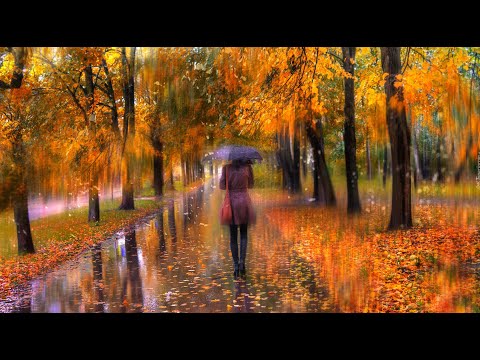 🎶 Tylko Wiatr ⭐Maja Kraft🎶