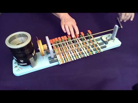 Thomann Nataraj Bulbul Tarang Strings iMuso