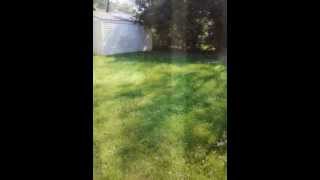 A Beautiful House in Lorain, Ohio, being neglected by USBank Home Mortgage and Five Brothers!