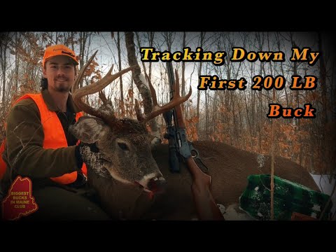 The Patch Buck: TRACKING MAINE (I Jumped and Shot at Him 3 Times!)