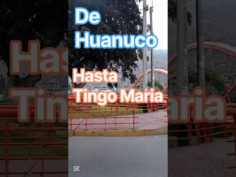 Rumbo de Huánuco  hastaTingo María #tocache