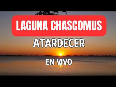 🔴 EN VIVO Beautiful Sunset Argentina | Atardecer en Chascomús | Live Cam