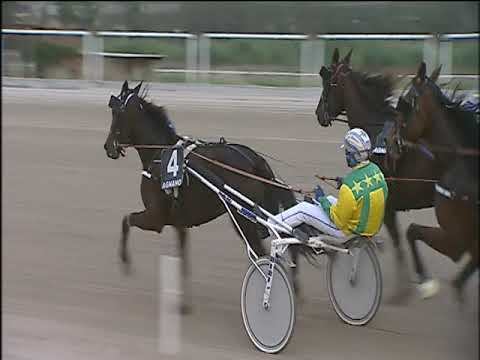 Trotto 29/11/2019 - 3ª corsa