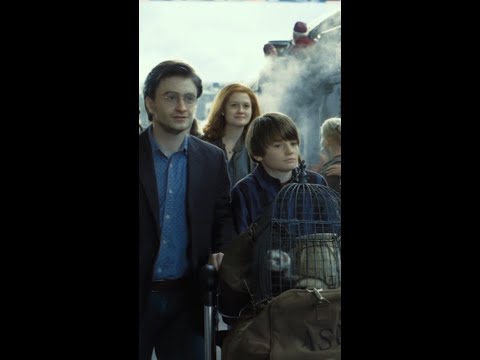 Harry and Ginny’s love story #HarryPotter #GinnyWeasley #Hinny