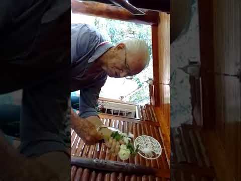 Seu Orlando da Sama como tudo começou