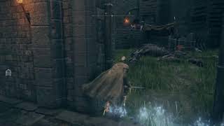 [完全初見]ノエデンリング　その4