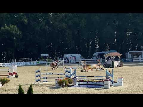 7yo Dare de Lux ( Hermes de Lux x Cabrol) 9.08.2020