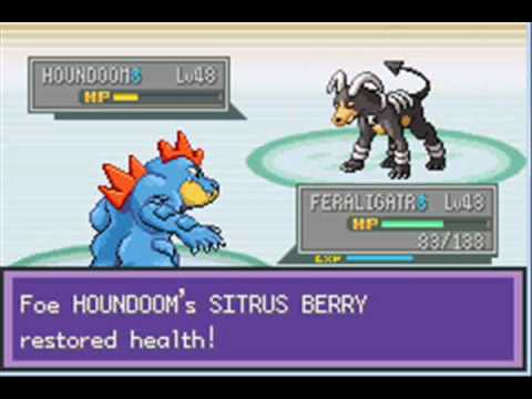 Pokemon Liquid Crystal Part 46- Elite Four(s): Bruno & Karen