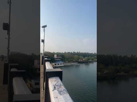 #natureshorts 💚🌴