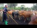 NG OMBE WA BHUGESELA LIMBU LUCHAGULA 2026
