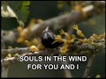 09 IF WE HOLD ON TOGETHER Diana Ross