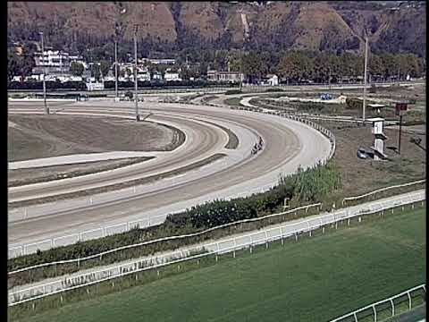 Trotto 13/09/2019 - 2ª prova di qualifica