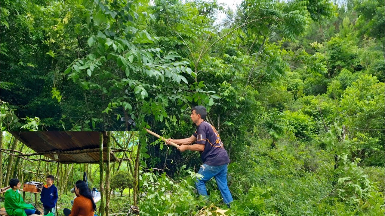 Aqui tem muita qualidade de vida//  Almoço no mato.  #vidanaroça #vivendonositio