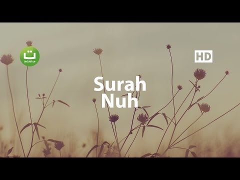 Surah Nuh Merdu - Salah Mussaly ᴴᴰ صلاح مصلي | Tadabbur Daily