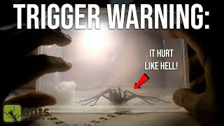 Something Bit Me in My Bed