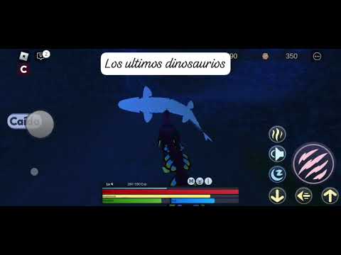 17 de diciembre de 2024