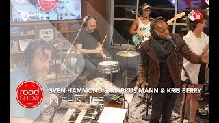 Sven Hammond - In This Life (Ft Markus Mann & Kris Berry) video