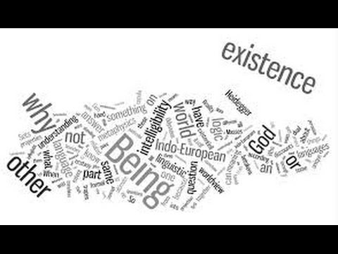 Dan Schneider Video Interview #24: On Existence: Philosopher Tyron Goldschmidt