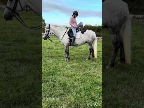 🌹Holly super alround connemara🌹 - Image 2