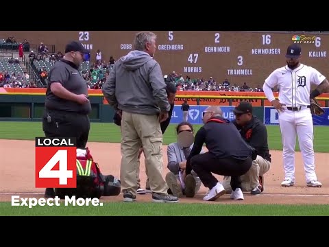 Comerica Park Live Cam