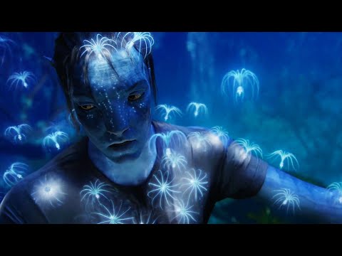 Seeds of the Sacred Tree | Avatar (2009)