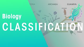 How are organisms classified? | Biology for All | FuseSchool
