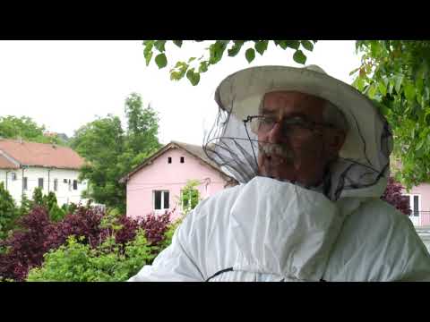 Reč struke ep. 254 11.06.2019. Pčelarstvo, zaštita pčelinjih društava
