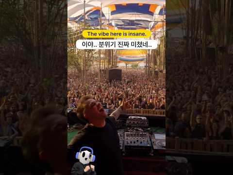 이야 ㅋㅋㅋ 분위기 진짜 미쳤습니다 | Maya Festival