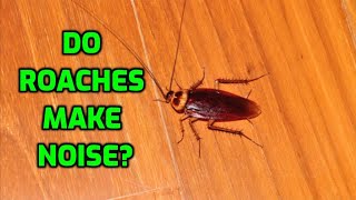 Do Roaches Make Noise
