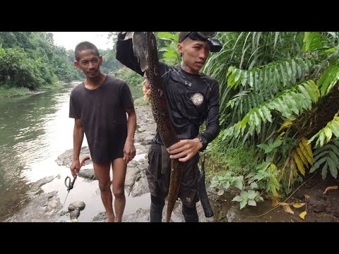 SE03EP085 Part 2 - HINDI MAKAPANIWALA sa NAHULI! RARE na PALOS sa TABANG "INDONG" Province of Quezon