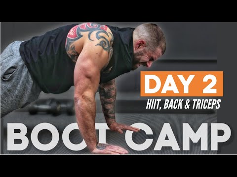 Boot Camp Day 2 | Back, Triceps & HIIT Cardio | 30 Min Upper Body Dumbbell Workout