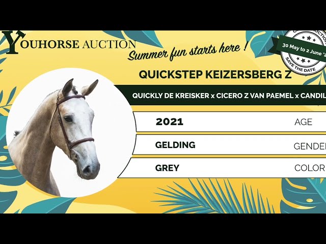 Quickstep Keizersberg showvideo