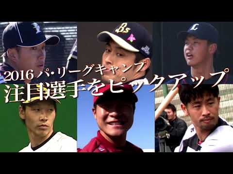 再起へ、さらなる飛躍へ、栄光の未来へ。2016年注目選手