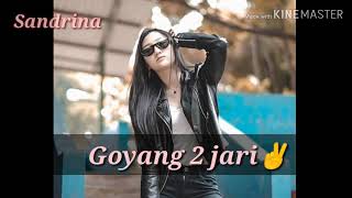 Download lagu Goyang 2 jari - Sandrina mp3