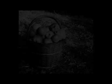 Eva Porubová a CM Javořina - Oj, letěla bílá hus + Zrálo jabko, zrálo