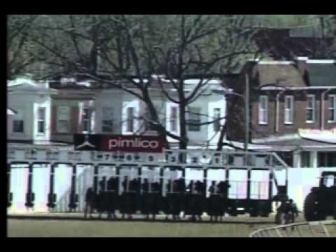 Pimlico 04/20/13 Race 8