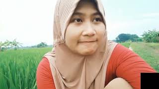 Download lagu Viral di tiktok, cwek kebelet pipis di sawah 🤭🤣🤣#shorts #lucu mp3 Download lagu Viral di tiktok, cwek kebelet pipis di sawah 🤭🤣🤣#shorts #lucu mp3