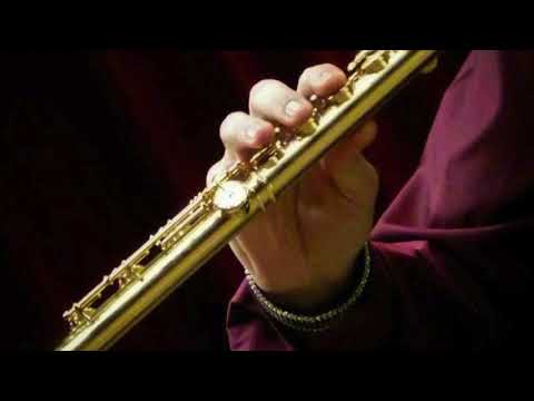 @ionbogdanstefanescu  Telemann - Sonata II for two flutes