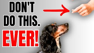 Simple & Effective Dog Training For Stubborn Breeds