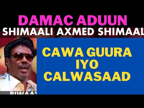 CAWA  GUURA IIN CALWASAAD AAS IGU CANAANTAAYE SHIMAALI AXMED SHIMAALI RIW AYADII DAMAC ADUUN