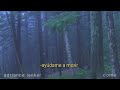 adrianne lenker- come (sub. español)