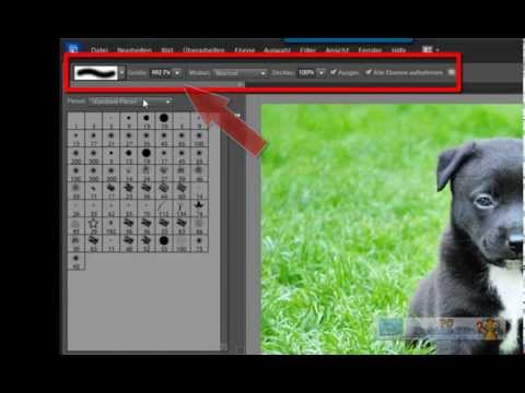 Photoshop Elements Tutorials: Gras kopieren