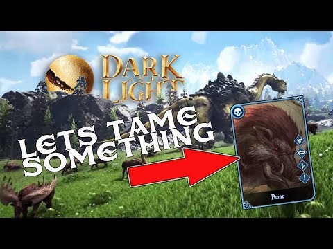 DARK AND LIGHT | TAMING STUFF | GAME PLAY WITH MY WIFE | EPISODE 2