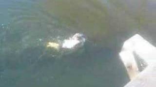 Angels&Airwaves- Take the stairs TRUSSEL