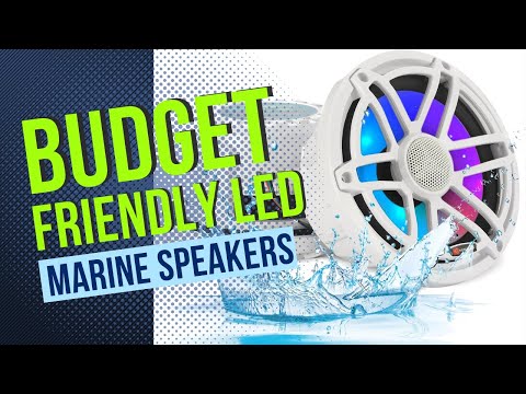 Skar Audio Killer? Budget Friendly LED Marine Speakers