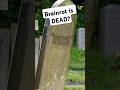 Is Brainrot Dead Terms Like Skibidi Enter Pop Culture